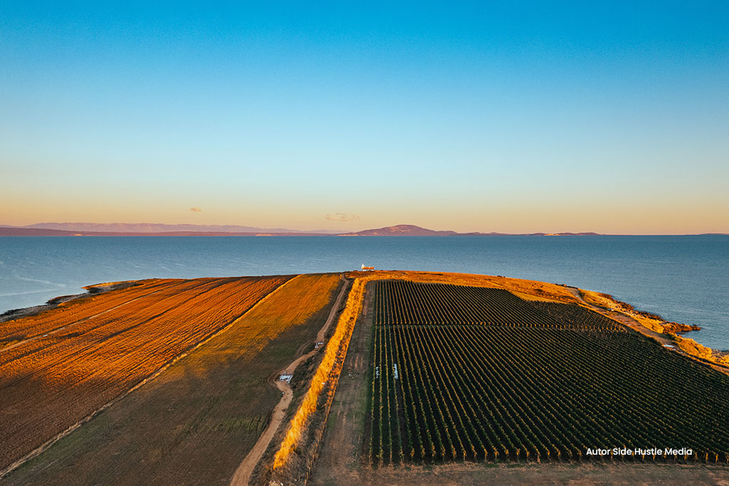 Liznjan-Istra-Croatia---02---author-hustle-media