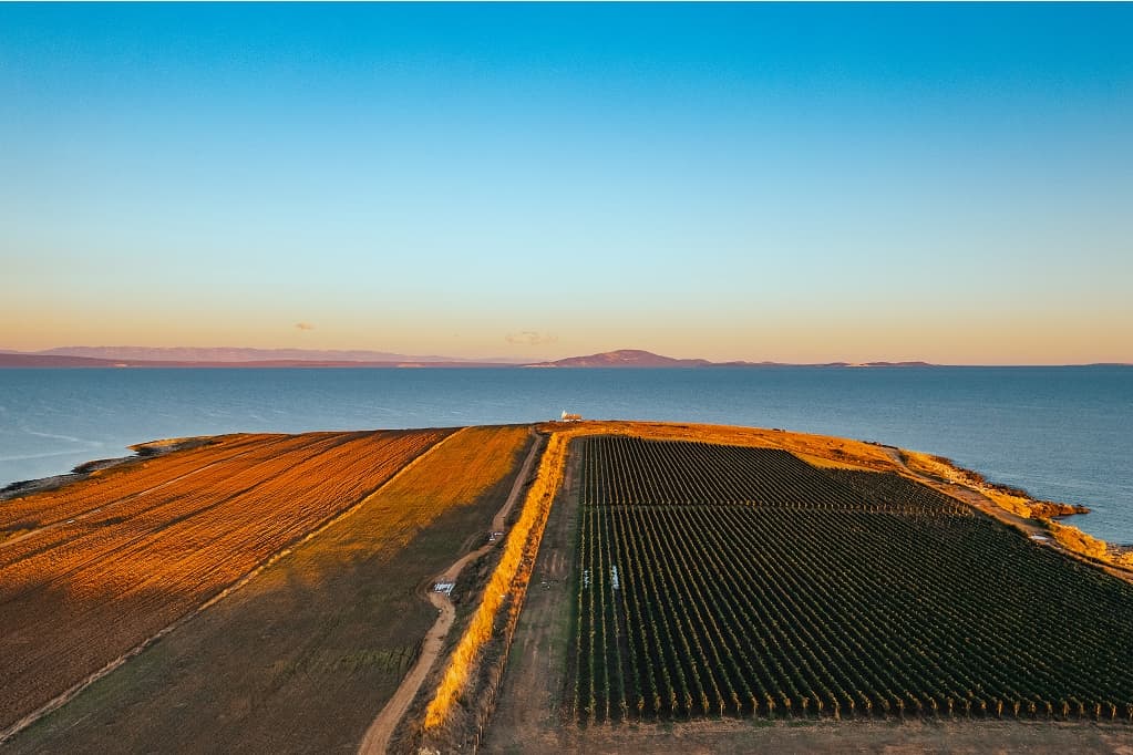 Marlera. Autor Side Hustle Media Marlera. Autor Side Hustle Media